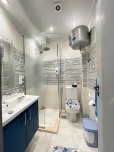 ein Bad mit einem WC, einem Waschbecken und einer Dusche in der Unterkunft Luxury Studio House 589-2 in Madinat as-Sadis min Uktubar