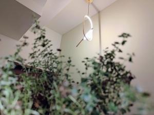 Fotografie z fotogalerie ubytování Wish Homestay v destinaci Dayin