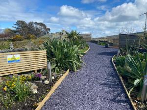 einen Garten mit Pflanzen und einem Schotterweg in der Unterkunft Converted chapel - Sant Pedr Newydd - with sea views in Amlwch
