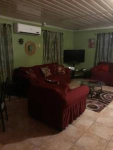 a living room with a couch and a tv at Spacious Home in Couva