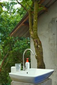 a bathroom sink with a tree behind it at A Hòa Homestay in Ye Yen Sun Cay