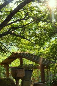 Afbeelding uit fotogalerij van A Hòa Homestay in Ye Yen Sun Cay