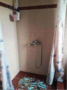 a shower in a bathroom with a tile wall at Vasiliki in Dhílesi