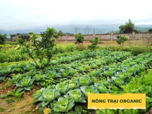 Gambar di galeri bagi Wonder Farm Ba Vì - Edu & Retreat di Hanoi