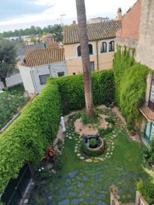 an aerial view of a garden with a palm tree at Can Sanllehí in Castelló d'Empúries
