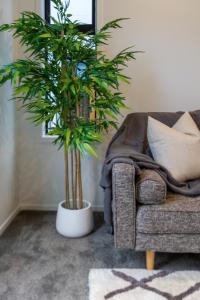 a living room with two potted plants and a couch at Explore Addington and CBD 1 bed w/carpark in Christchurch
