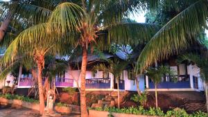 Hitokalak的住宿－HAPPY DIVE RETREAT fka Ankermi Happy Dive，前面有棕榈树的房子
