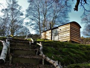 a wooden cabin on a hill with trees at The Hideaway, Shepherd's Hut in Scarborough