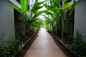 a corridor of plants in a building at VIP Great Hill in Nai Yang Beach
