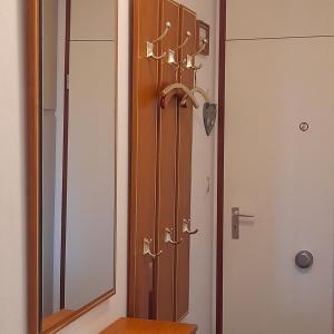a bathroom with a mirror and a wooden door at Fewo Therme im Oberharz in Altenau