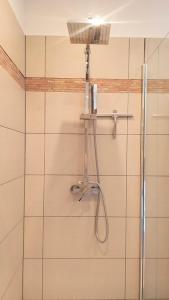 a shower with a shower head in a bathroom at Appartement Rose in Liezen