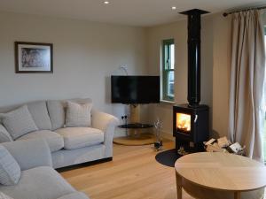 a living room with a couch and a wood stove at Petronella in Grange