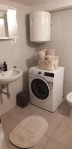 a washing machine in a bathroom with a sink at Apartment Sonce in Koper