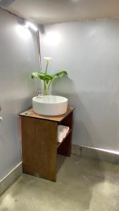 a bathroom with a sink and a plant on a counter at Deoja Forest Stay in Darjeeling
