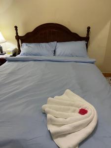 维拉港Janessa's Dwellery的相册照片