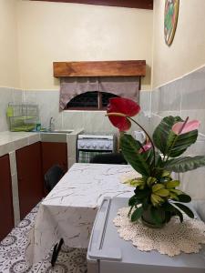 维拉港Janessa's Dwellery的相册照片 更多6张照片