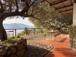 stół i ławka na patio pod drzewem w obiekcie House sole - Unique Panorama w mieście Lipari