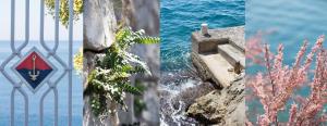 Fotografie z fotogalerie ubytování Villa Luce Dubrovnik v Dubrovníku