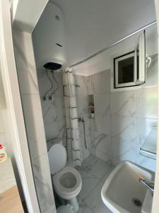 een kleine badkamer met een toilet en een wastafel bij Cathrin’s villas and apartments in Zverneci
