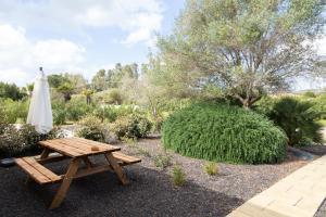 a picnic table and an umbrella in a garden at MARIS Apartments & Bedrooms in Alghero