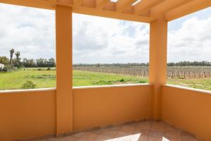 a room with a window looking out at a vineyard at MARIS Apartments & Bedrooms in Alghero