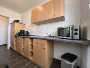 a kitchen with a counter top with a microwave at Gästewohnung KL. WZL 29_7 in Klein Wanzleben +3 photos