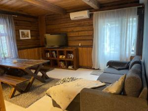 sala de estar con sofá, mesa y TV en Miekkala Lomatalo en Ilottula