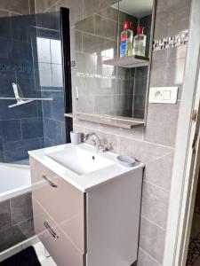 a bathroom with a sink and a mirror and a shower at Maison charmante à Berlaimont avec jardin et parking inclus in Berlaimont
