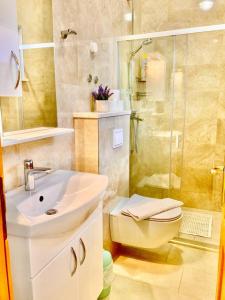 a bathroom with a toilet and a sink and a shower at Villa Nostra vita in Blace +22 photos