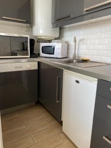 Kuhinja ili čajna kuhinja u objektu Superbe Appartement Superbe Vue Océan