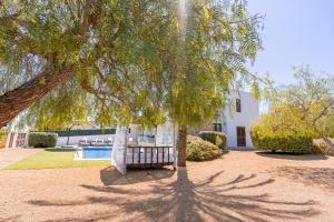 um banco sentado sob uma árvore em frente a uma casa em Beautiful Villa Bohemia Ibiza em Sant Josep de sa Talaia