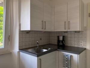 eine Küche mit weißen Schränken und einem Waschbecken in der Unterkunft Bei Dörflingers in Klettgau