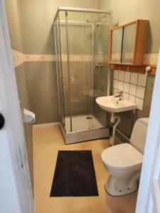 a bathroom with a shower and a toilet and a sink at Living Ludvika in Ludvika