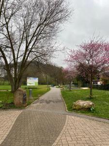 a walkway in a park with trees with pink flowers at Ferienwohnung David im Haus Waldblick - Bad Bergzabern in Bad Bergzabern