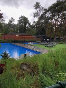 a swimming pool in a yard with chairs and trees at Chalet Heppie People in Doornspijk