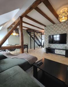salon z kanapą i telewizorem z płaskim ekranem w obiekcie Appartement Le Baroque en duplex w Miluzie