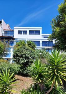 a white building with palm trees in front of it at Viewpoint Machico - Lovely Nature View in Machico