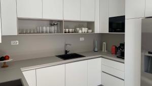 Η κουζίνα ή μικρή κουζίνα στο Luxurious and spacious pet friendly villa in Brela