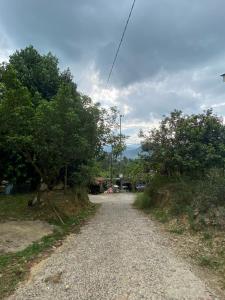 a gravel road with trees on either side of it at Homestay D'Bukit in Jeli