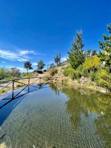 un pont sur une rivière avec des arbres en arrière-plan dans l'établissement Mountain Eco Shelters, à Funchal