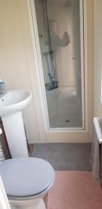 a bathroom with a white toilet and a shower at Chainbridge in Selsey