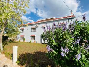 Zahrada ubytování Motel Ain Mersa