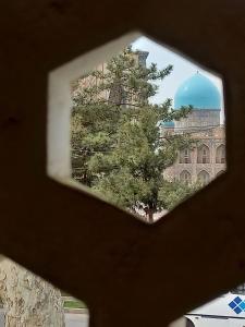 a view of a tree from a window in a building at Rassom Hostel in Samarkand