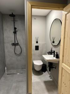 a bathroom with a shower and a toilet and a sink at Igates pils Brīvdienu māja in Myza Igate