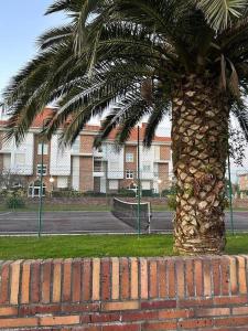 eine Palme auf einer Ziegelmauer in der Unterkunft Playa de Berria - Precioso Apartamento con piscina y Garaje incluido in Santoña