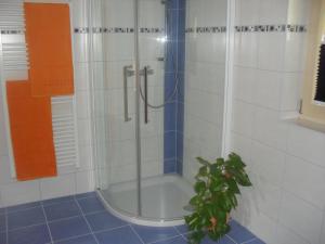 Koupelna v ubytování Bio-Bergbauernhof Möslhof