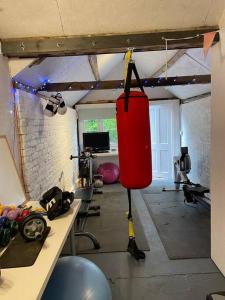 a gym with a punching bag hanging from the ceiling at Mustard Pot Cottage in Eye