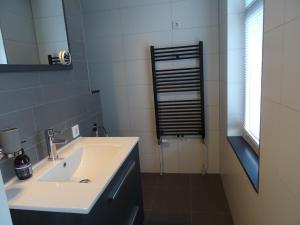 a bathroom with a sink and a mirror at Kustverhuur, Landgoed de Lente in Breskens +2 photos