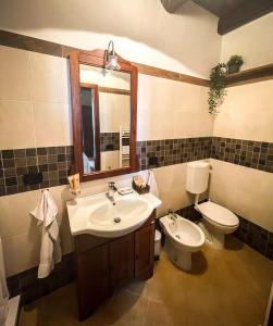 a bathroom with a sink and a toilet and a mirror at Il Rifugio del Brigante in Sante Marie
