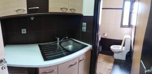 a small bathroom with a sink and a toilet at Lemnos Luxury Apartment in Mirina